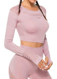Seamless Hollow Long Sleeve  Crop Top - SeasumFits