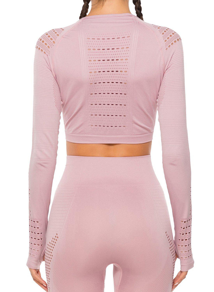 Seamless Long Sleeve Hollow Crop Top - SeasumFits