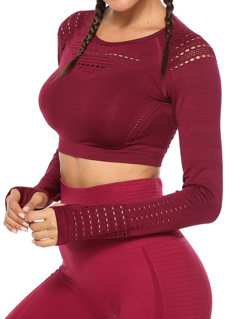 Seamless Hollow Long Sleeve Women Crop Top - SeasumFits