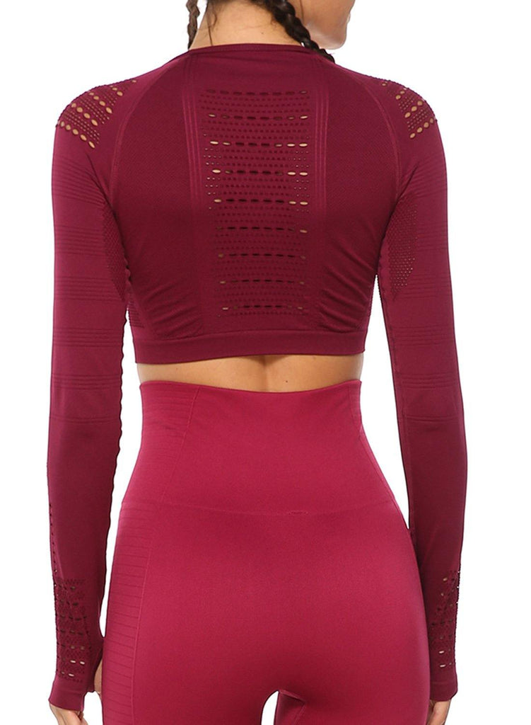 Long Sleeve Seamless Hollow Fitness Crop Top - SEASUM