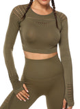 Seamless Hollow Long Sleeve  Crop Top - SeasumFits