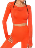 Seamless Hollow Long Sleeve  Crop Top - SeasumFits
