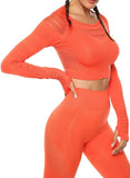 Long Sleeve Seamless Hollow Fitness Crop Top - SEASUM
