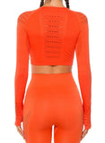 Seamless Hollow Long Sleeve Women Crop Top - SeasumFits