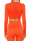 Long Sleeve Seamless Hollow Fitness Crop Top - SEASUM