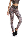 Leopard Print Leggings Workout Running Pants - SEASUM