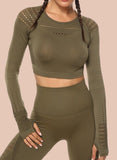 Long Sleeve Seamless Hollow Fitness Crop Top