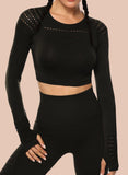 Seamless Hollow Long Sleeve  Crop Top - SeasumFits