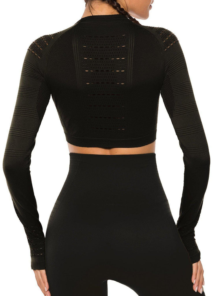 Seamless Hollow Long Sleeve  Crop Top - SeasumFits